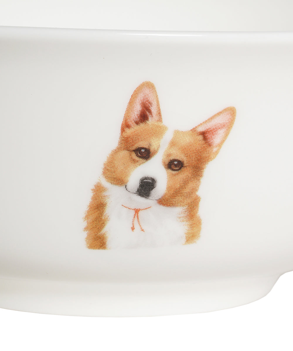 Pet Portrait Porcelain All Purpose Bowl -