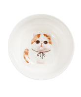 Pet Portrait Porcelain All Purpose Bowl - Exotic Shorthair