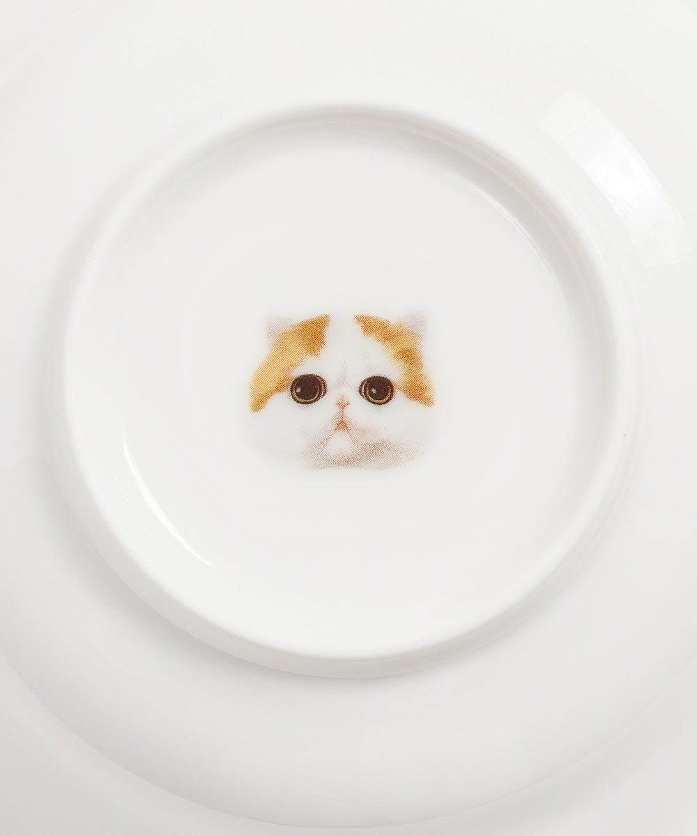 Pet Portrait Porcelain All Purpose Bowl - Exotic Shorthairi