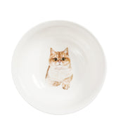 Pet Portrait Porcelain All Purpose Bowl - British Shorthair(Golden)