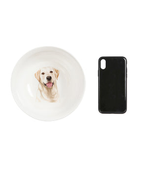 Labrador bowl next to cell phone for size comparison