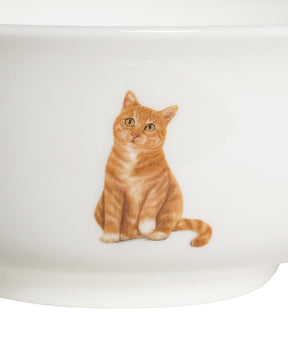 Pet Portrait Porcelain All Purpose Bowl - Orange Tabby