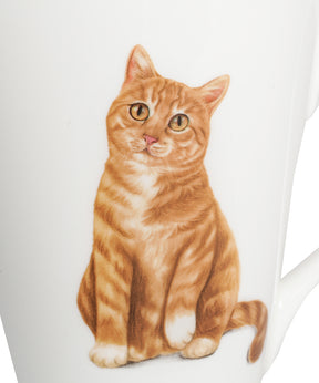 Pet Portrait Porcelain Water Cup with Lid & Spoon - Orange Tabby