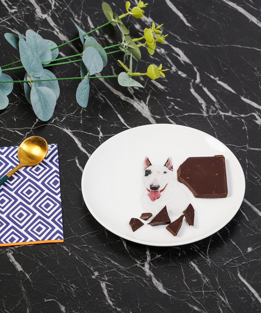 Pet Portrait Porcelain Dinnerware 11-Piece Set - Bull Terrier