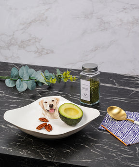 Labrador Porcelain Square Plate On Counter With Food