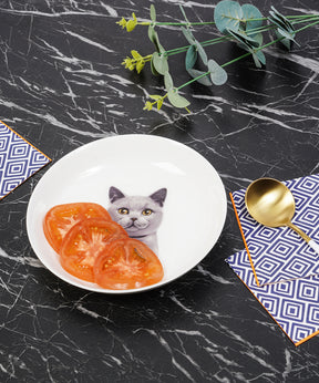 Pet Portrait Porcelain Dinnerware 11-Piece Set - Chartreux