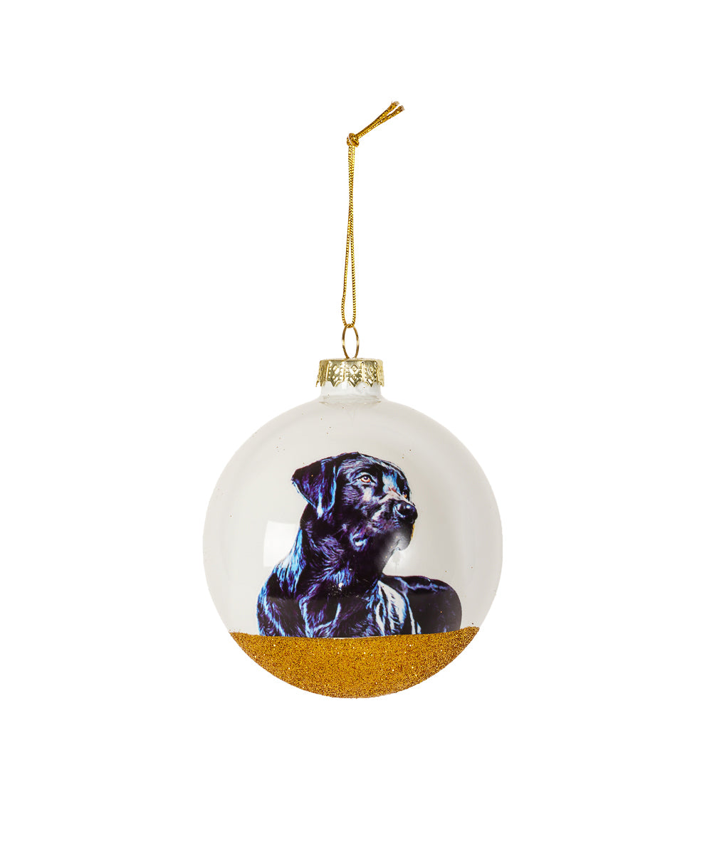 Pet Portrait 9 Pcs Christmas Ball Ornaments Set - Labrador(Black)