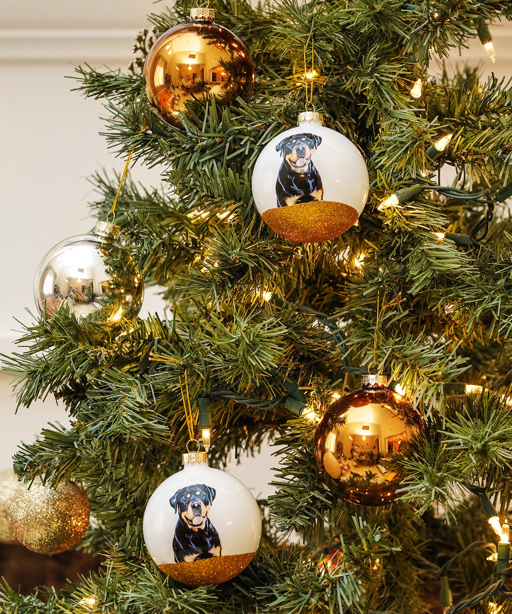 Pet Portrait 9 Pcs Christmas Ball Ornaments Set - Rottweiler on tree