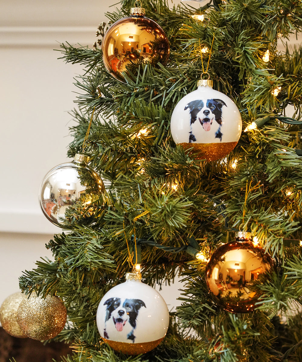 Pet Portrait 9 Pcs Christmas Ball Ornaments Set - Border Collie on tree
