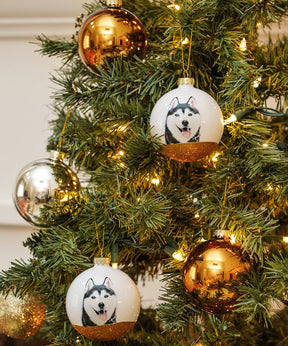 Pet Portrait 9 Pcs Christmas Ball Ornaments Set - Husky on tree