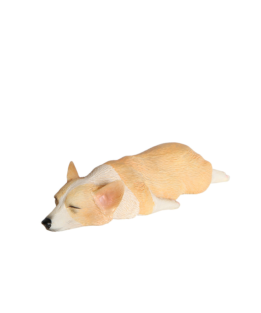 Sleeping Corgi Magnet - downward facing