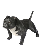Handmade American Bully Exotic Statue 1:1 Real Size side view