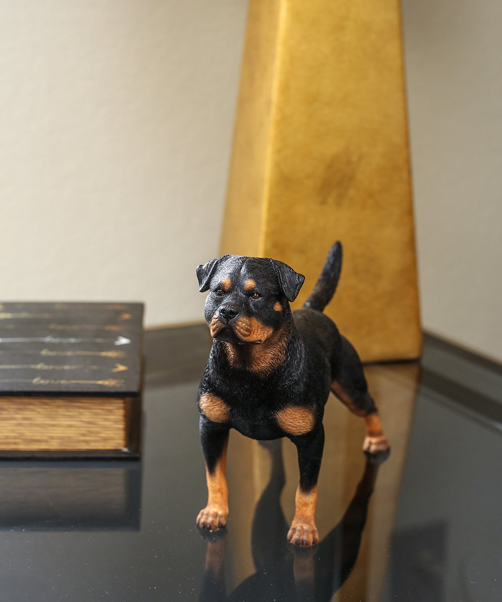 Custom Rottweiler Statue 1:6 - Standing - PetOrama | Customize Pet Print | Pet Figurines | Home Decorations - 1:6 - 1 to 6, clone pet figurine, cuddleclones, Custom Statue, pet figurine, Rottweiler, sandicast, statue