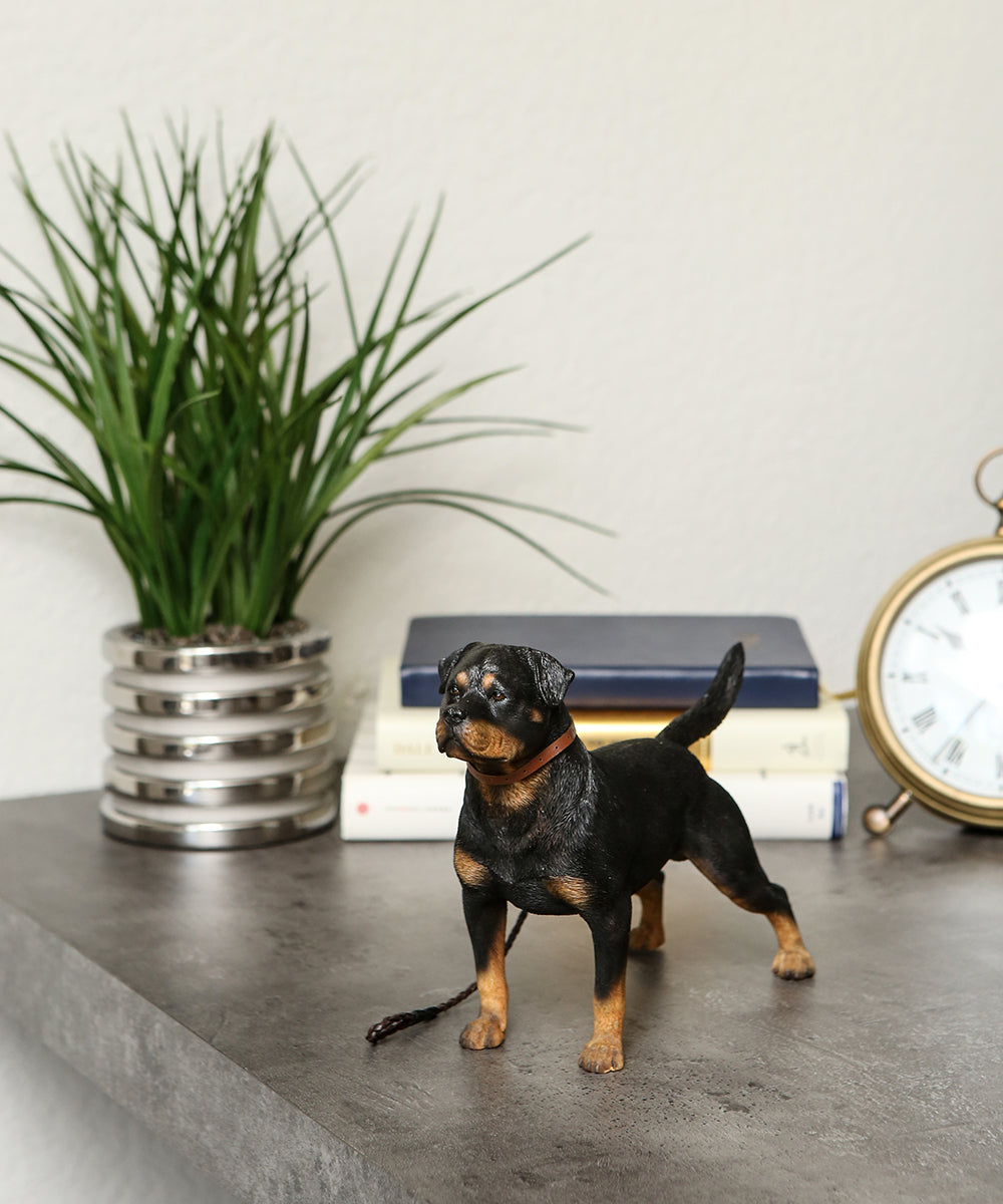 Rottweiler Statue 1:6 on table