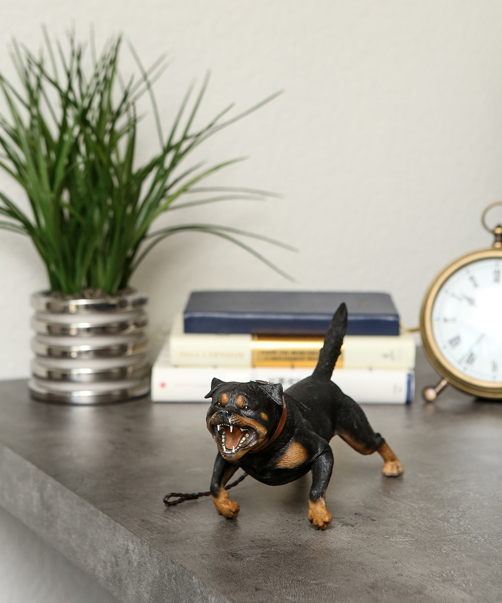 Custom Rottweiler Statue 1:6 on desk