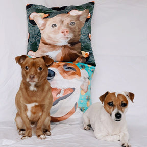 Custom Throw Pillow - Fleece next to pets