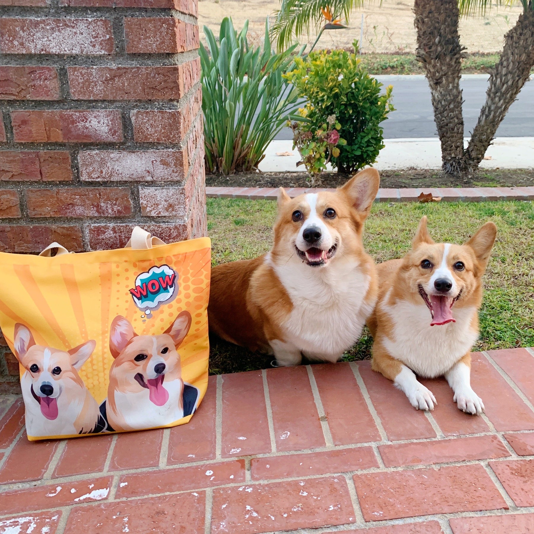 Custom Canvas Bags next to pets