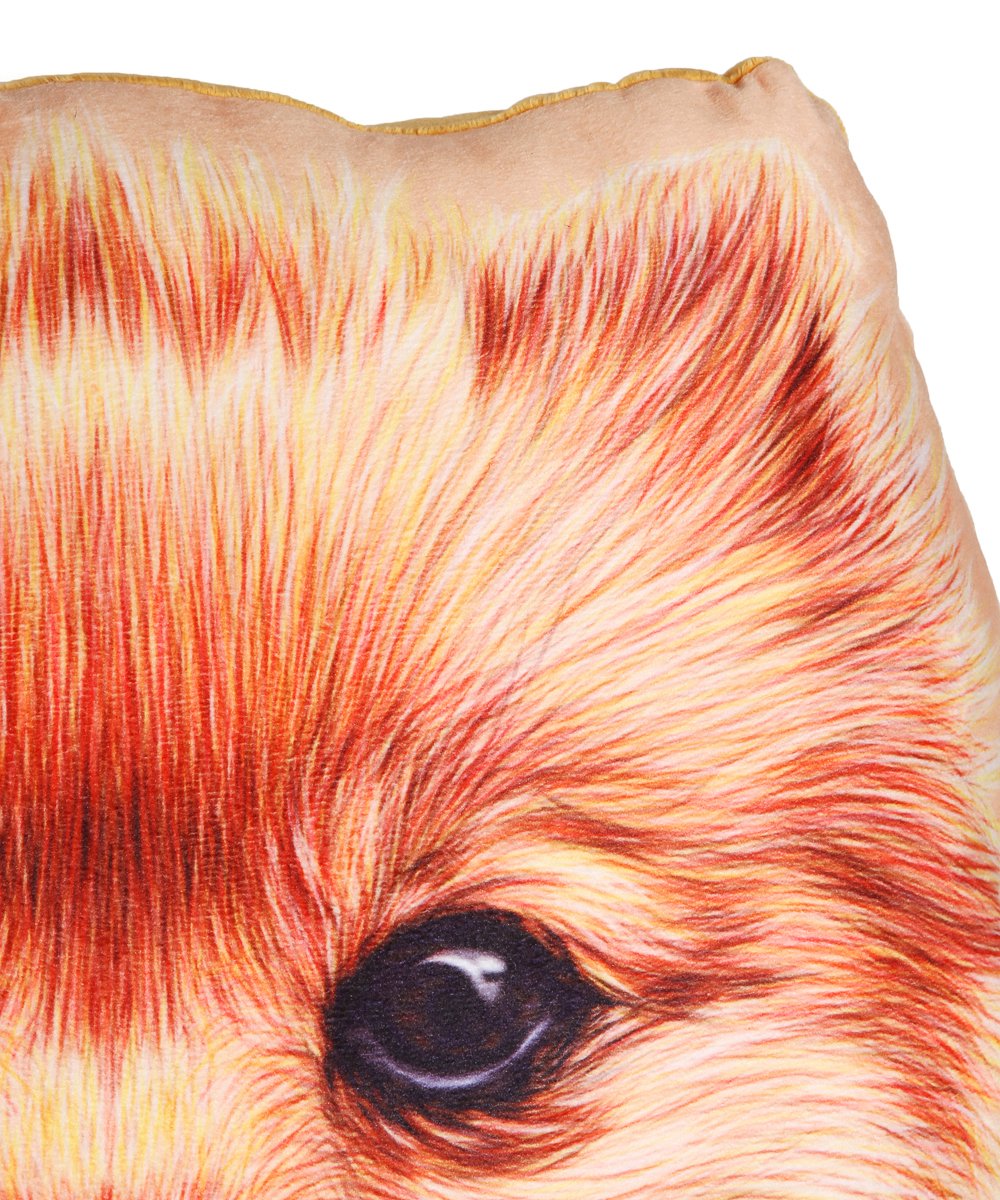 Lifestyle Dog Pillow - Pomeranian close up
