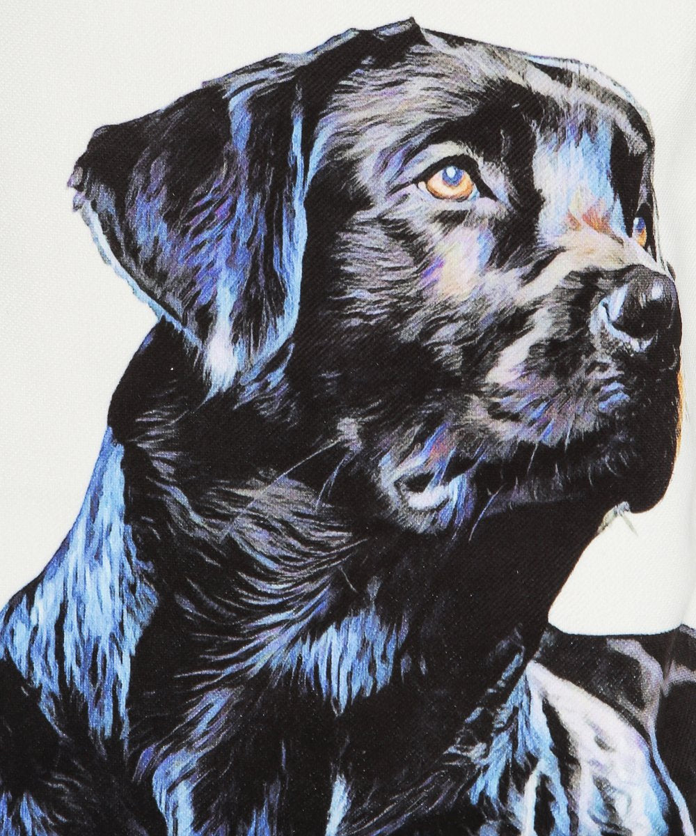 Black Labrador Artwork Close Up