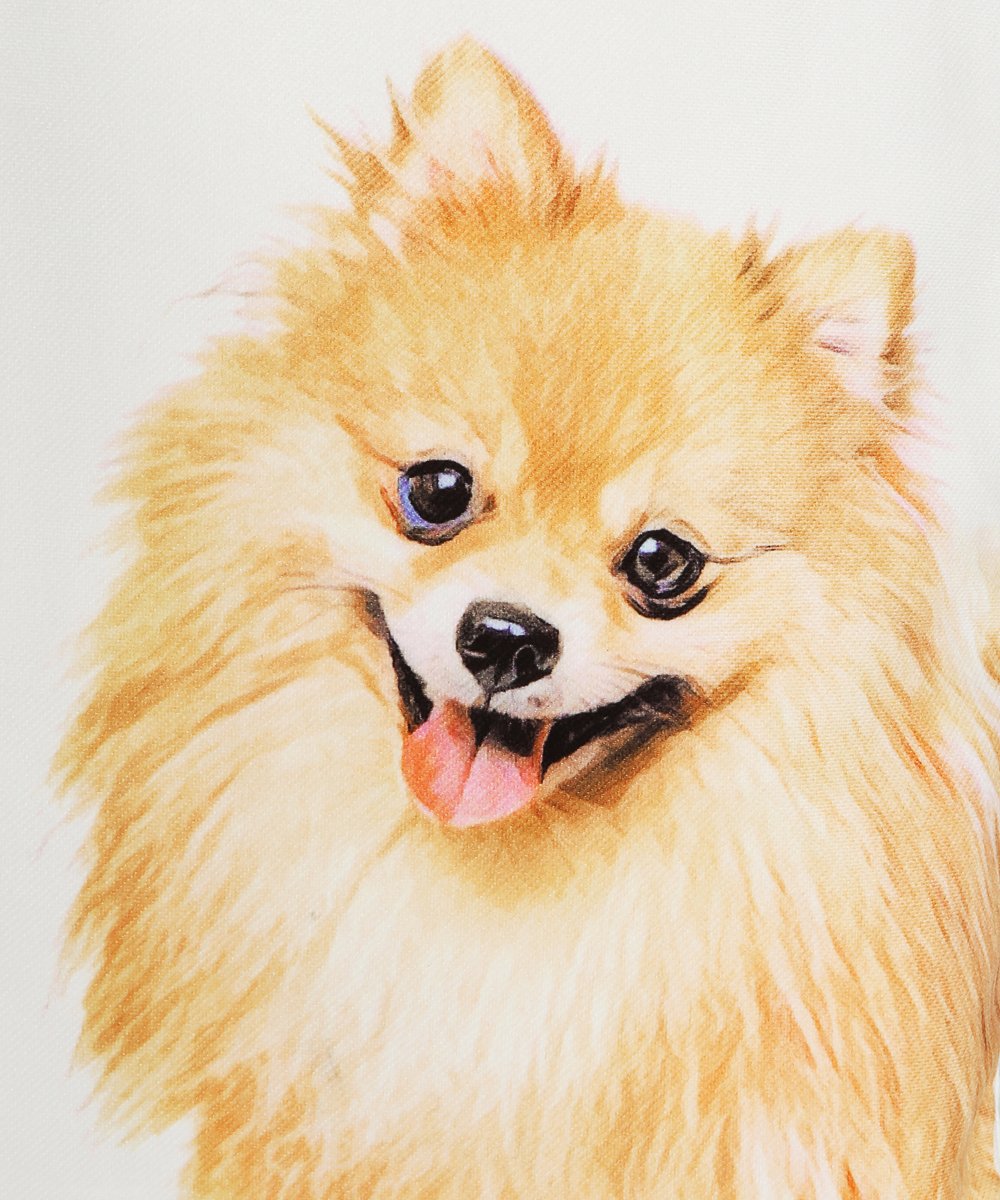 Art Canvas Bag - "I Love" Collection - Pomeranian(Red) closeup of artwork