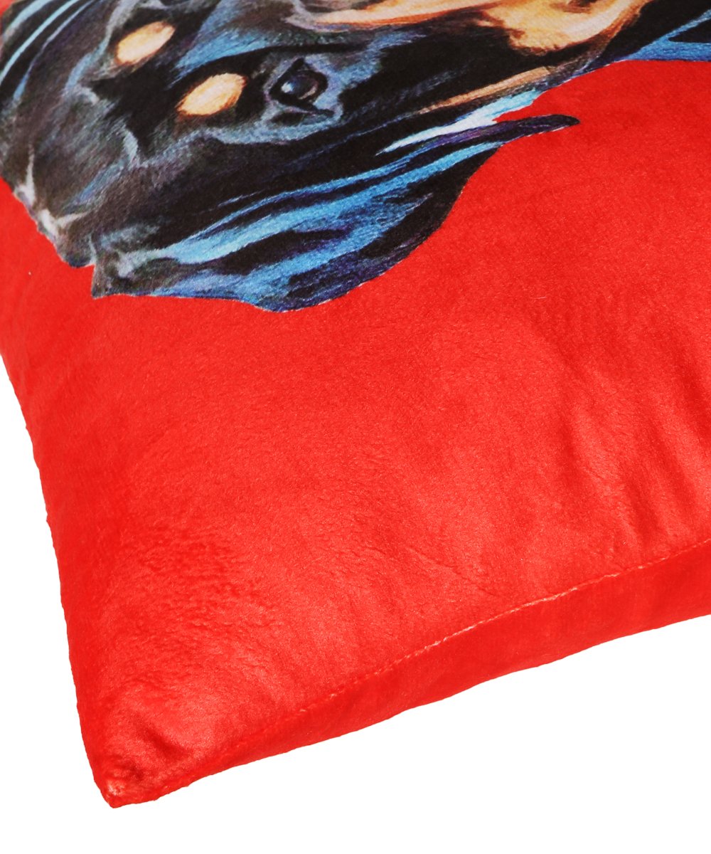 Custom Throw Pillow - Fleece