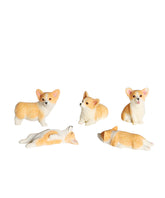 Mini Corgi Puppies Set