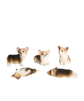 Mini Corgi Puppies Set