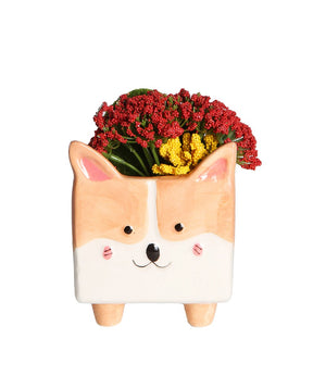 Smiling Corgi Square Plant Pot