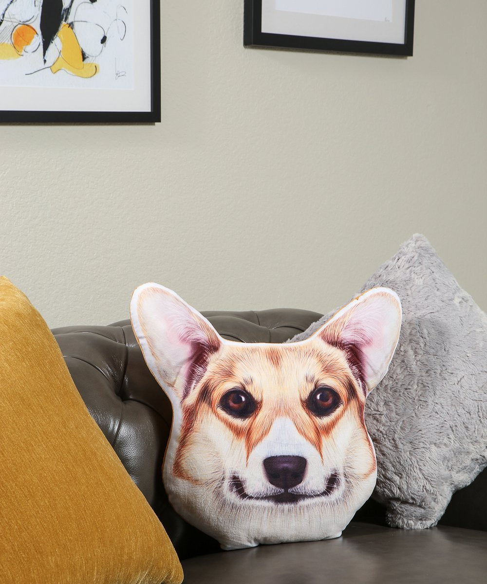 Lifestyle Dog Pillow on couch
