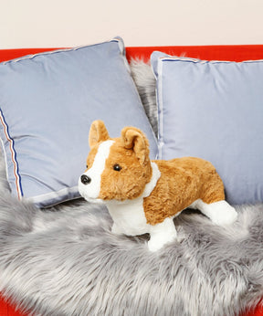 Fluffy Corgi Plush 2.0 on couch