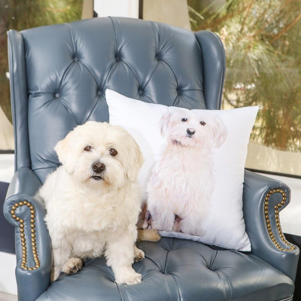 Custom Throw Pillow - Fleece next to pet