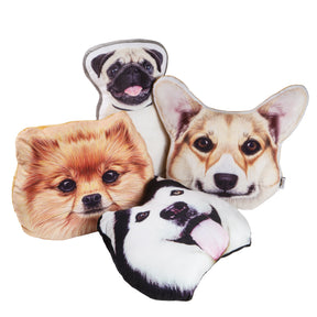 Lifestyle Dog Pillow collection 
