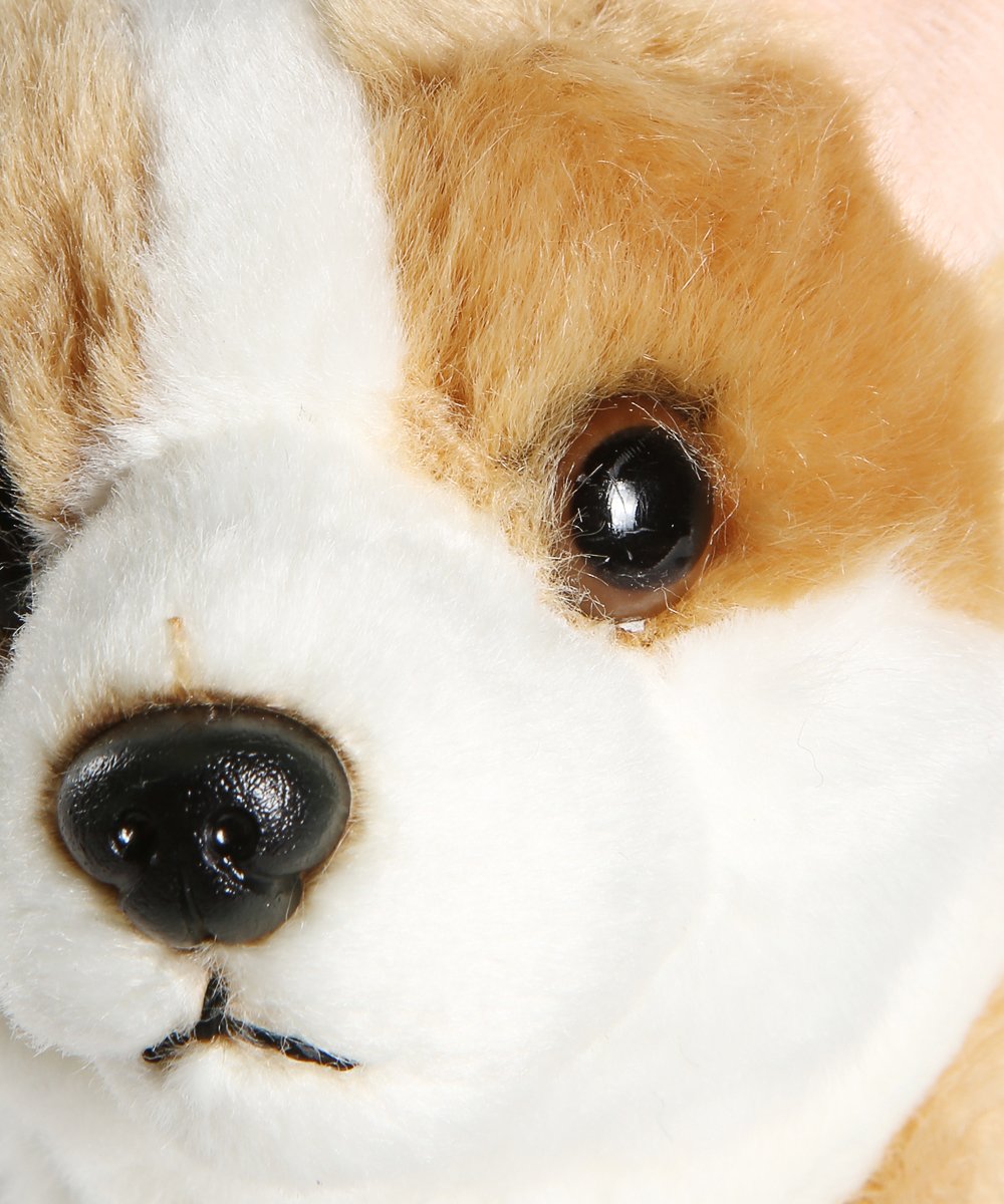 Adorable Corgi Plush close up