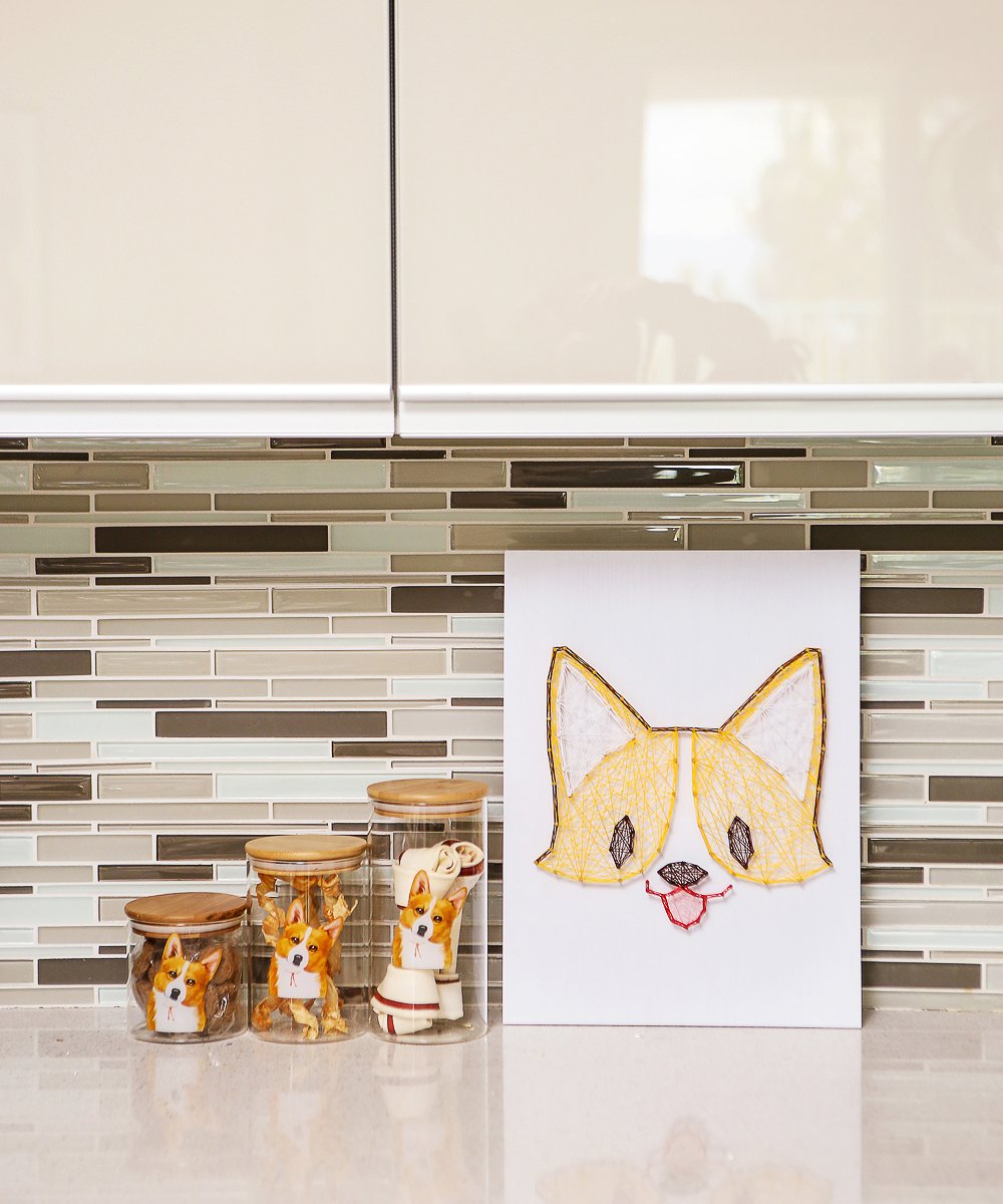 Corgi Air-tight Treat/Food Container on kitchen counter