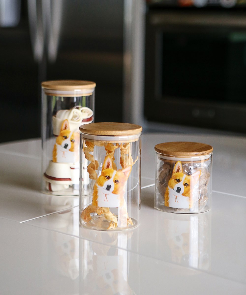 Corgi Air-tight Treat/Food Container with treats inside on counter