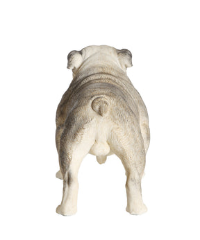 Handmade English Bulldog Statue 1:4 back view