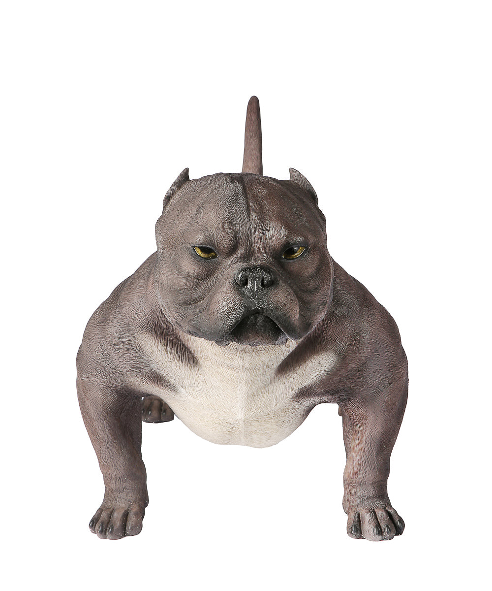 Handmade American Bully Exotic Statue 1:1 Real Size front view