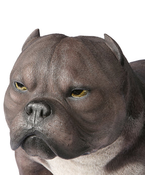 Handmade American Bully Exotic Statue 1:1 Real Size close up of face