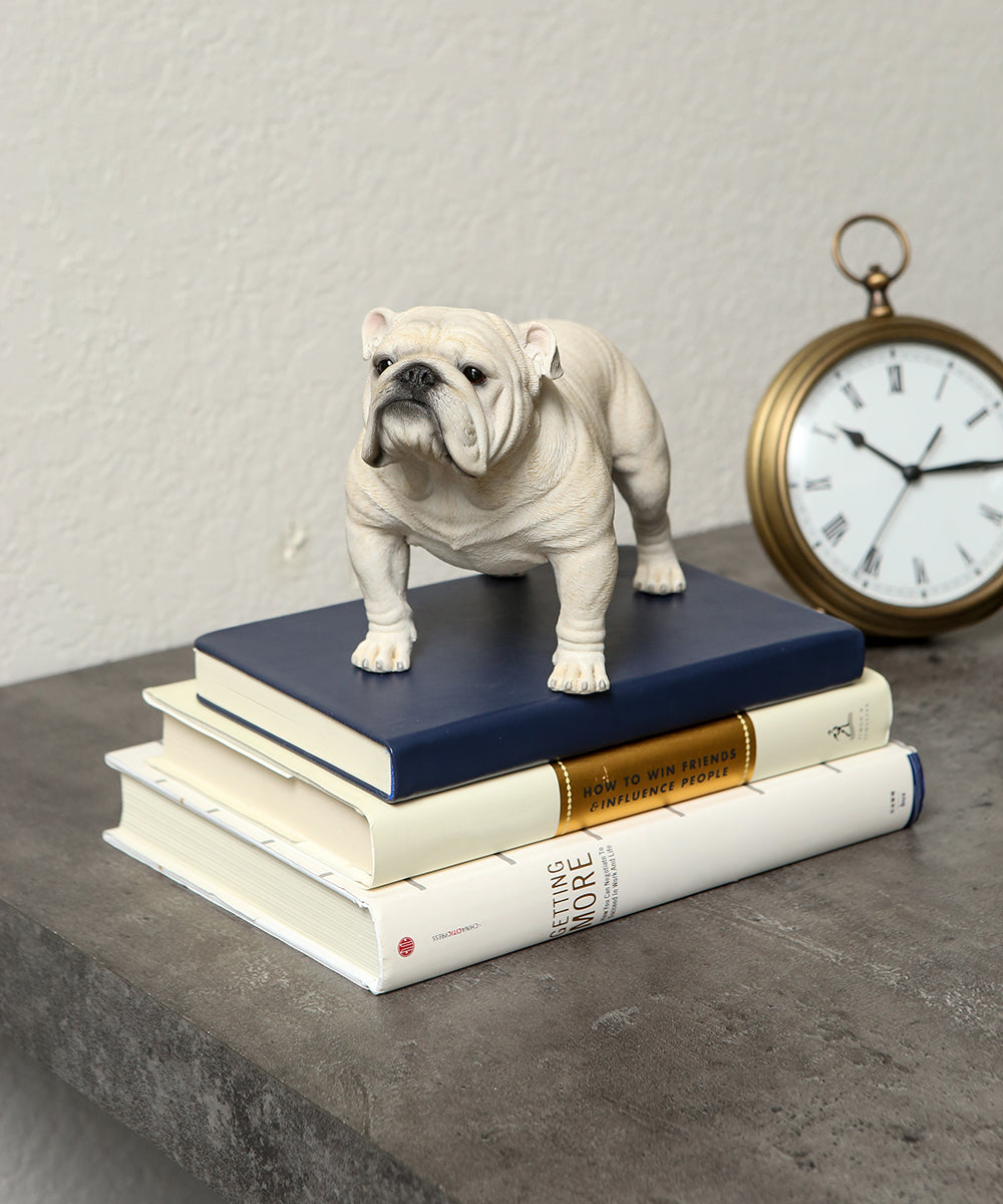 Handmade English Bulldog Statue 1:4 on table