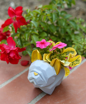 Grey French Bulldog Color Small Plant Pot with plant inside