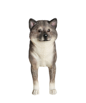 Handmade Japanese Akita Statue 1:6