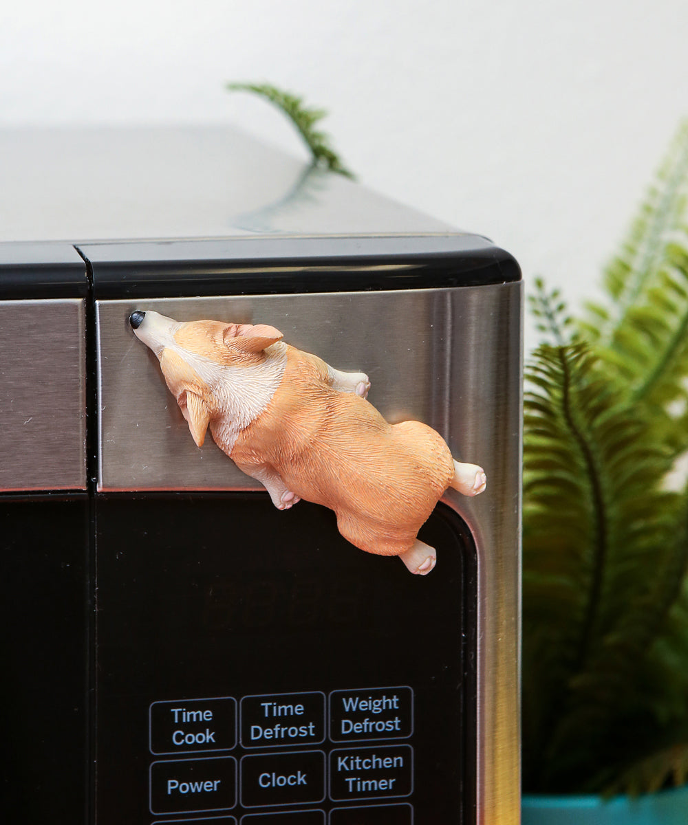 Sleeping Corgi Magnet - downward facing