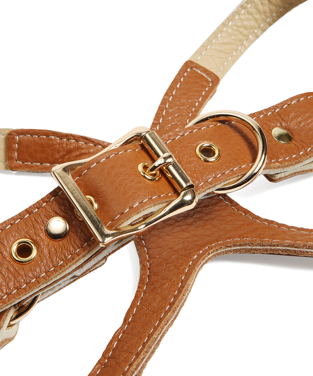 [Fine Doggy] Leather Harness & Leash Set (XL)