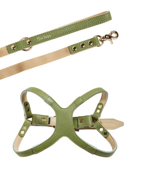[Fine Doggy] Leather Harness & Leash Set (XL)