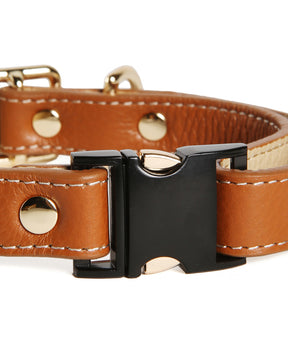 [Fine Doggy] Leather Collar & Leash Set