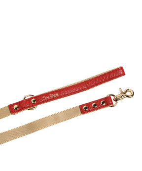 [Fine Doggy] Leather Collar & Leash Set